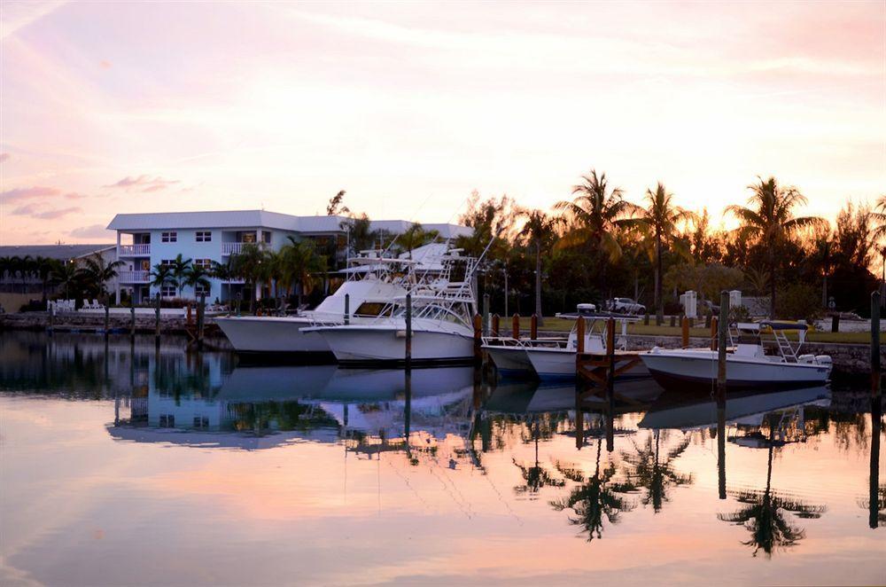 Dolphin Cove (Adults Only) Villa Freeport Bagian luar foto