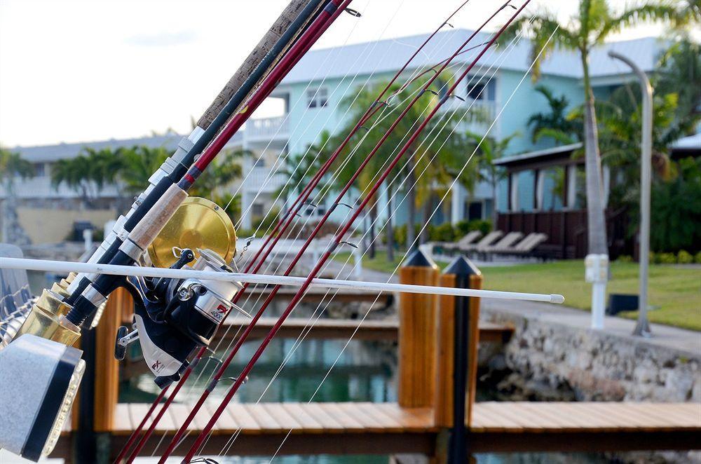 Dolphin Cove (Adults Only) Villa Freeport Bagian luar foto